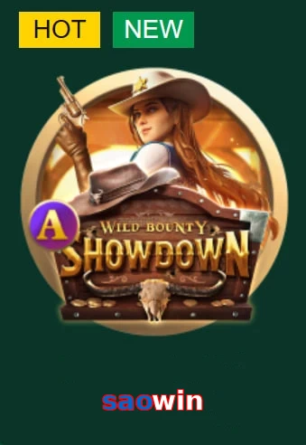 saowin